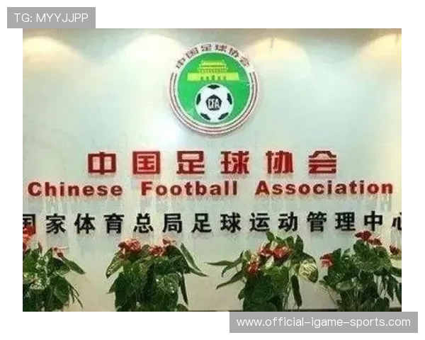 中国足球职业联赛加强外援管理制度规范化，足协外援新规是什么